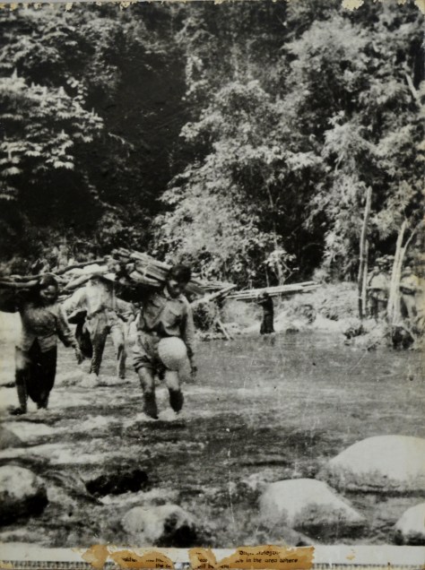Officers, soldiers and people are clearing the trees in the area that the conference will be held.