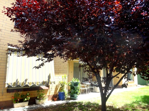 ???????????????????????????????