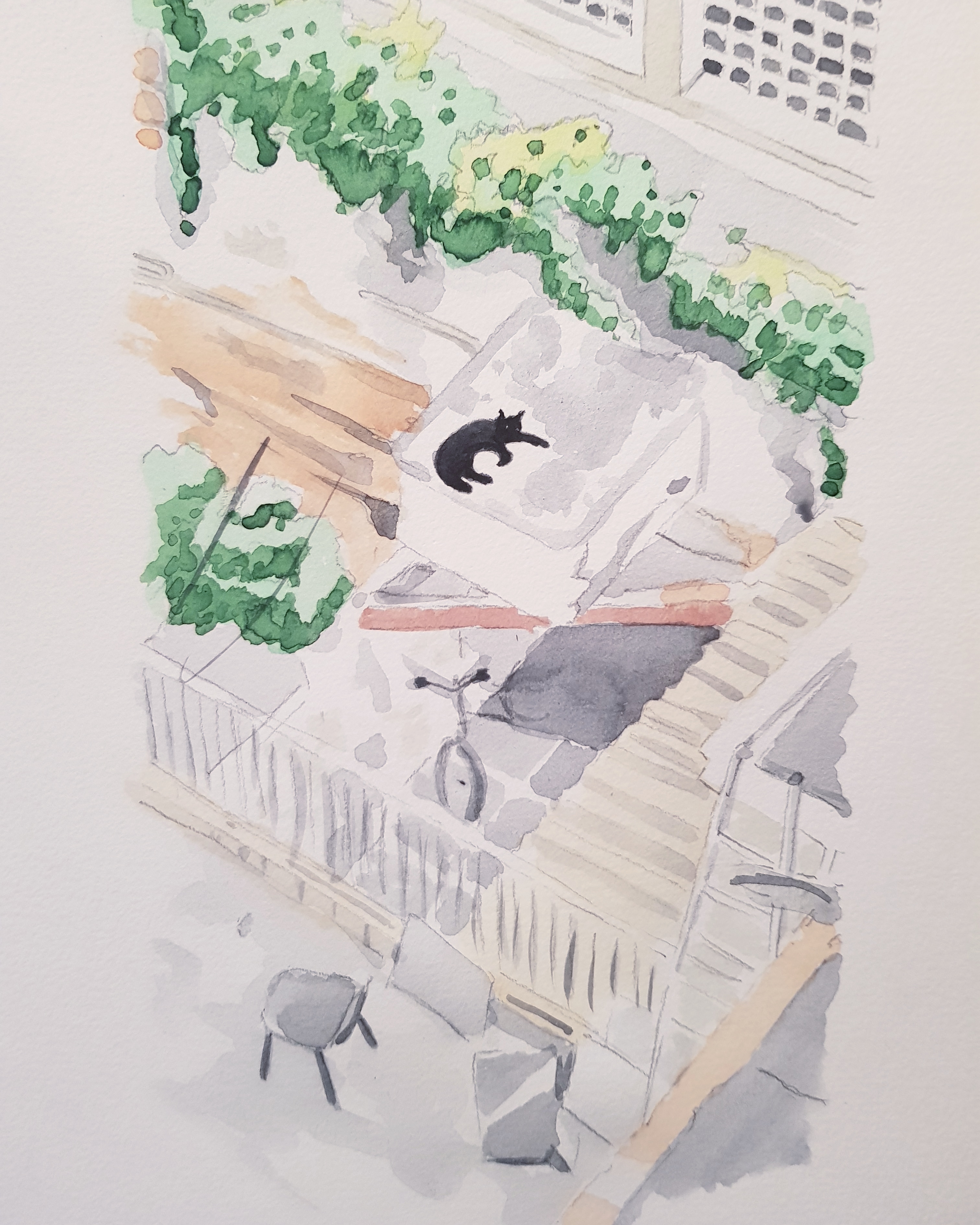 IMG_20181201_024942_530