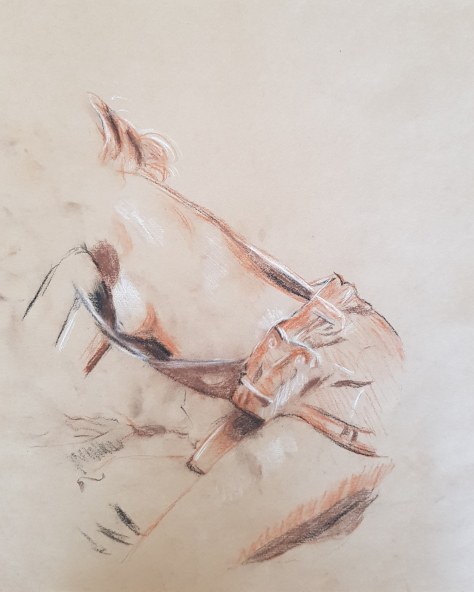 IMG_20190516_152736_527